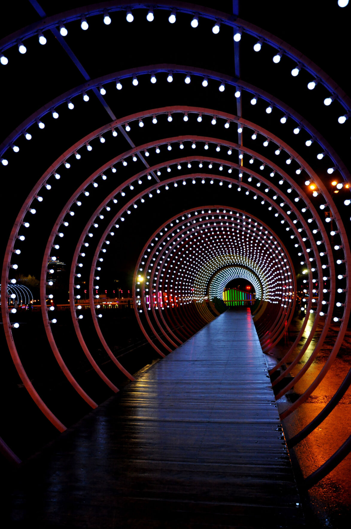 Holiday Lights